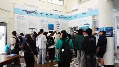 115年賞鯨活動 (11)